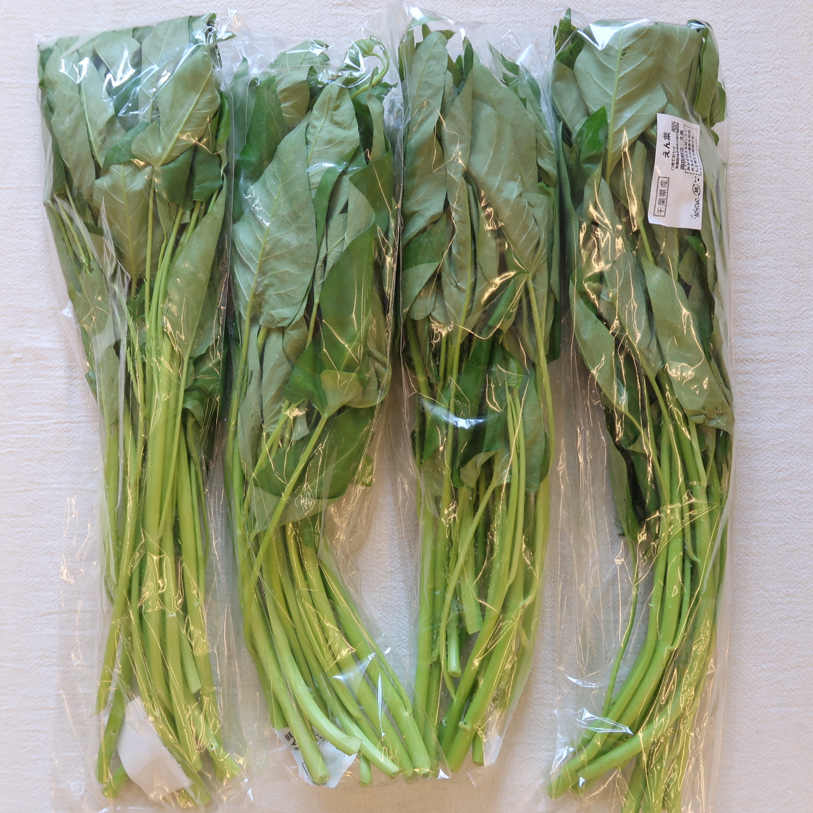 空芯菜、入荷致しました