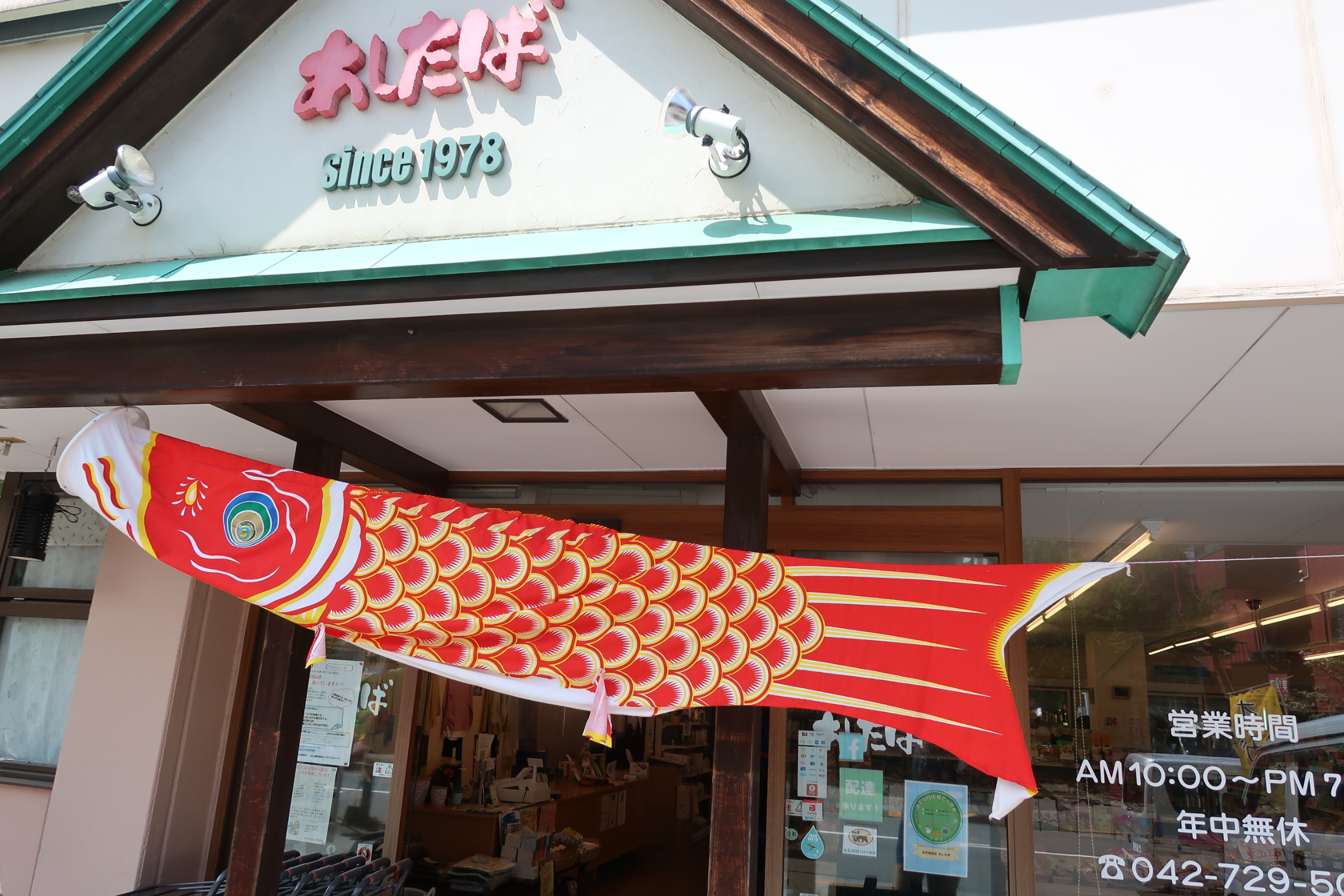 鯉のぼり登場