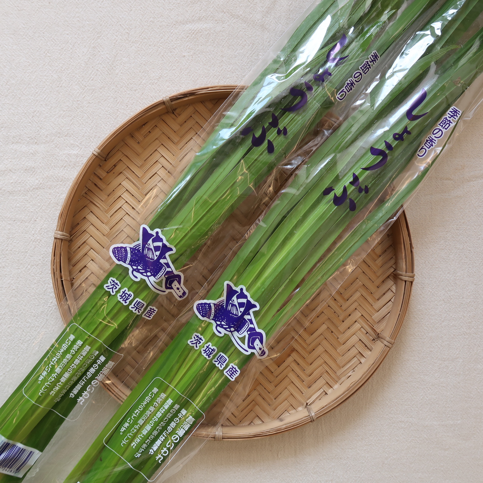 菖蒲（しょうぶ）入荷致しました