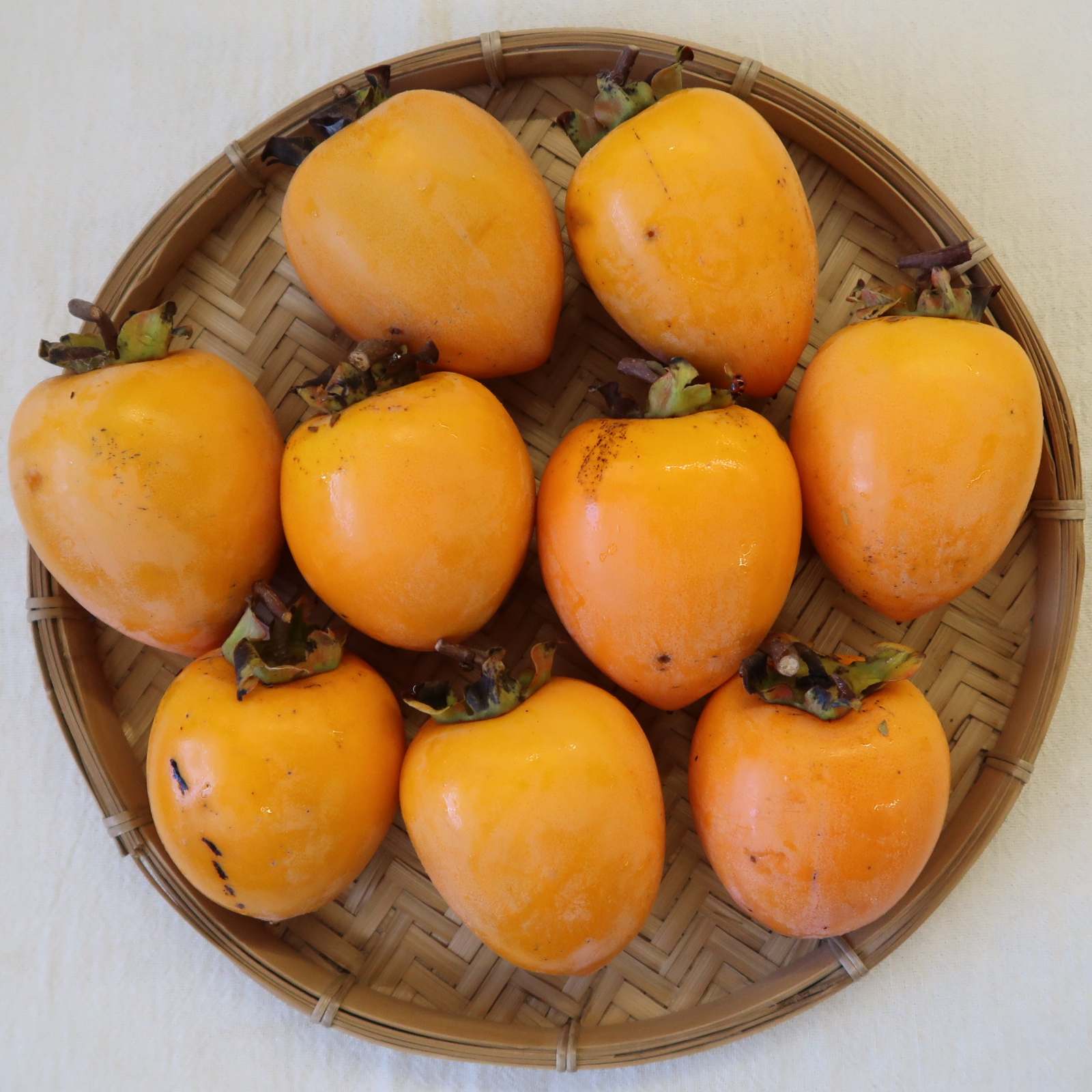 干し柿用、愛宕柿、入荷しています