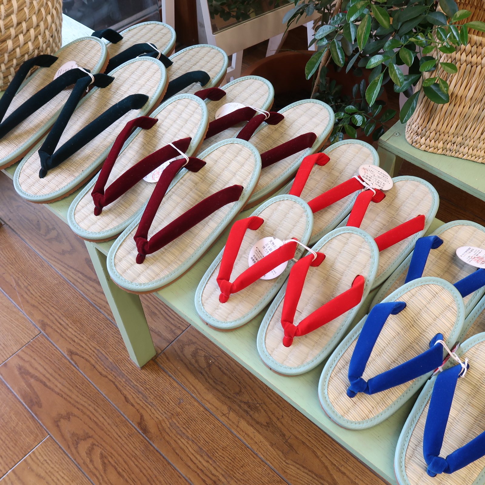 ミサトっ子い草の草履、入荷中