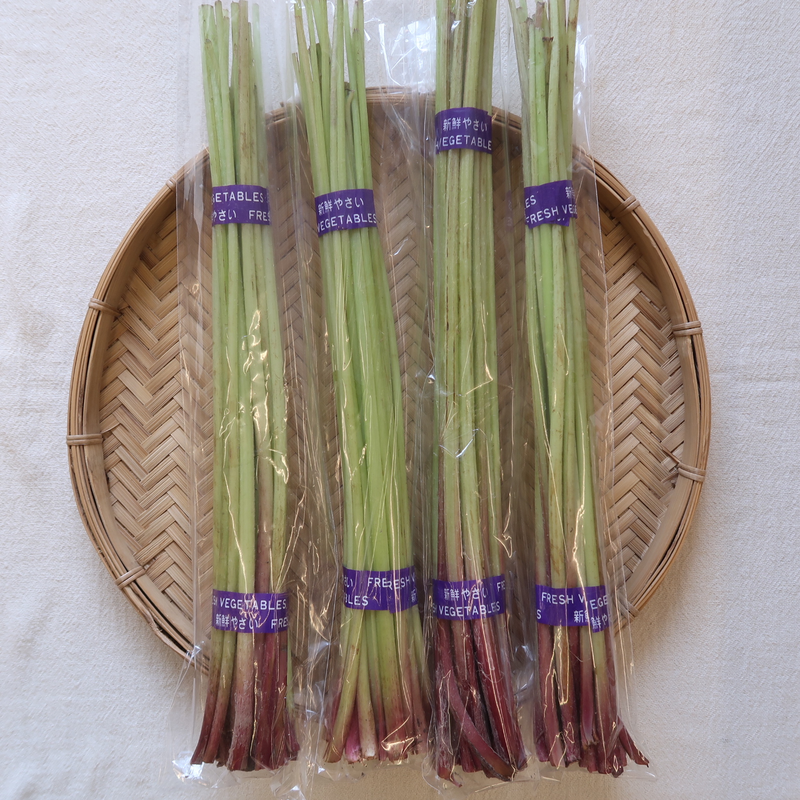 野ぶき、たらの芽、入荷致しました。