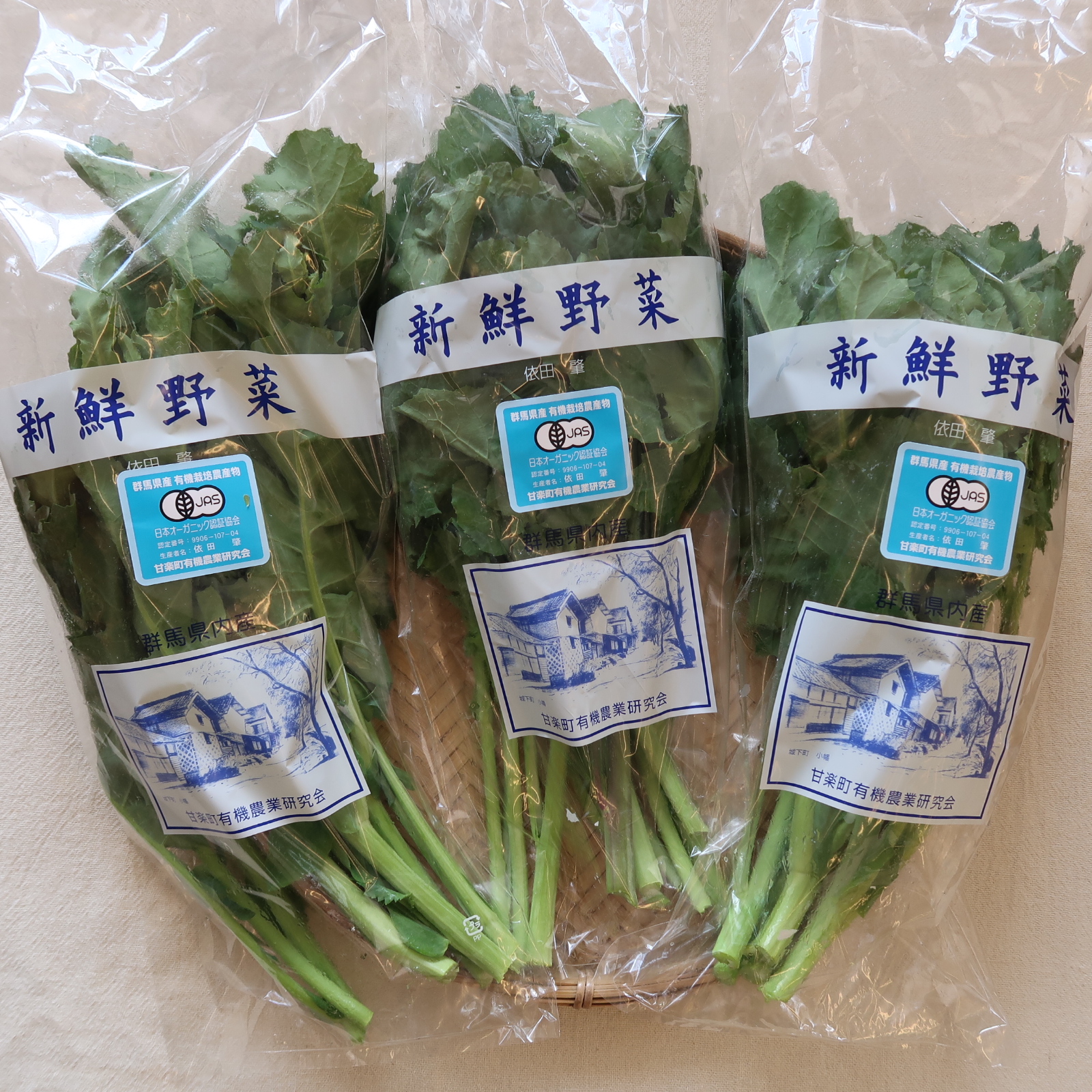 有機かき菜、入荷です