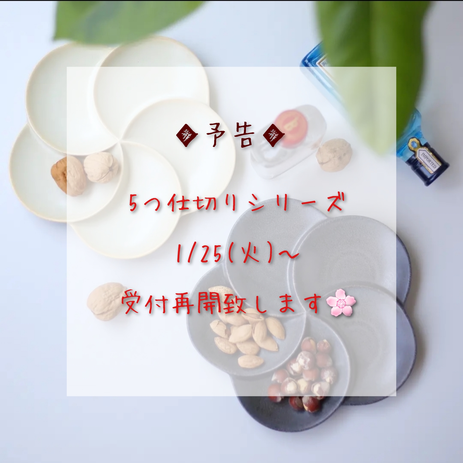 【1/25(火)～】5つ仕切りシリーズ新規受付再開のお知らせ