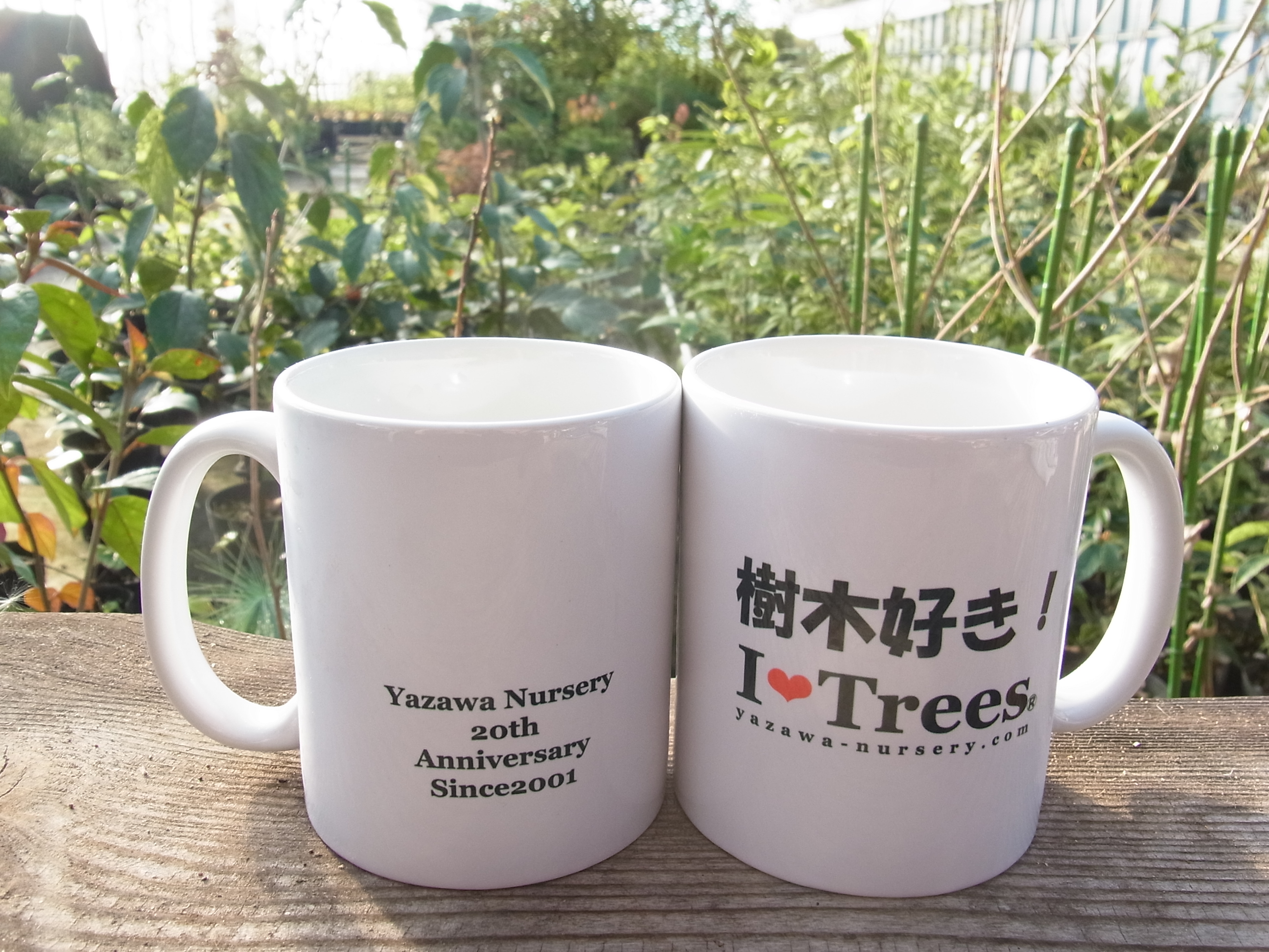 矢澤ナーセリー設立20周年記念マグカップ限定販売！