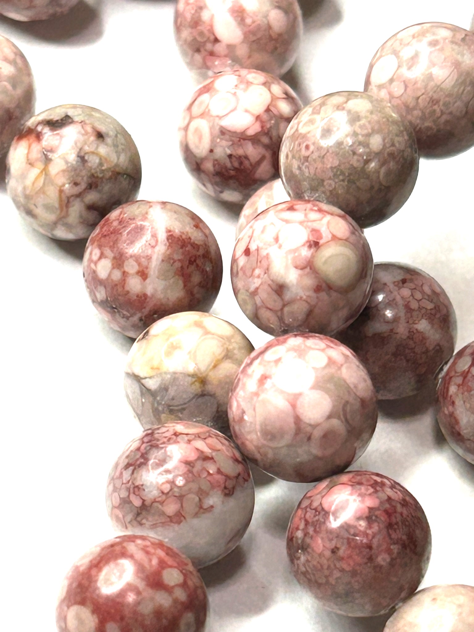 本日の新商品について【2026/01/16】