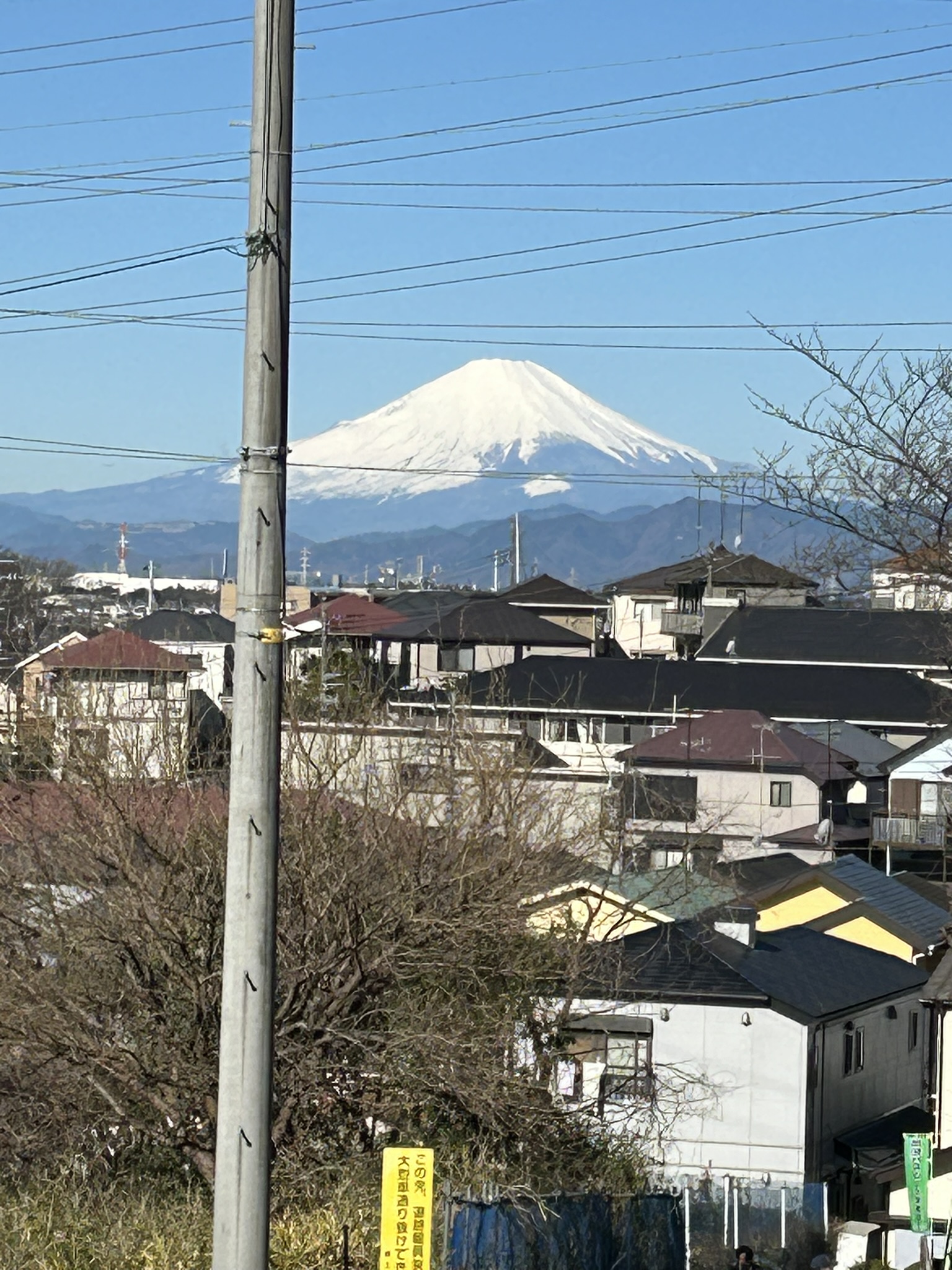 横浜某所【2024/03/27】