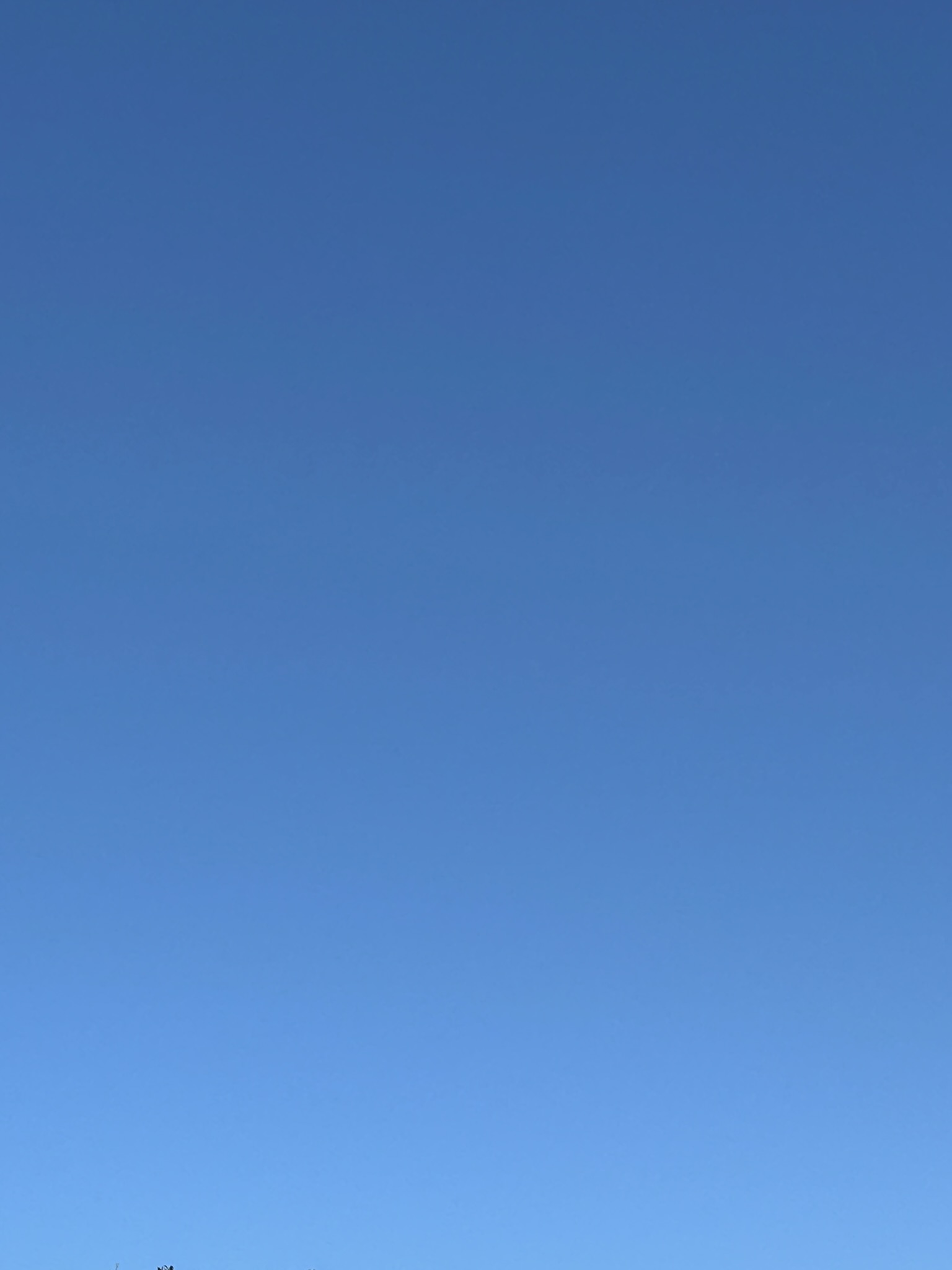 おはようございます。【2026/02/03】