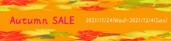 ブラックフライデー＆サイバーマンデー【2021/11/21】