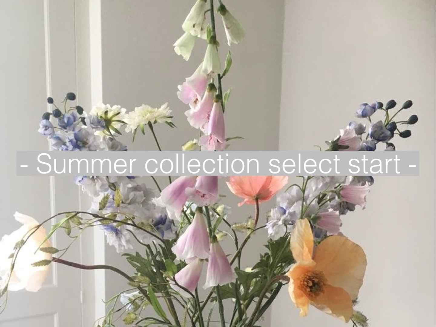 【新作入荷】Summer collection お取り扱いスタート♡