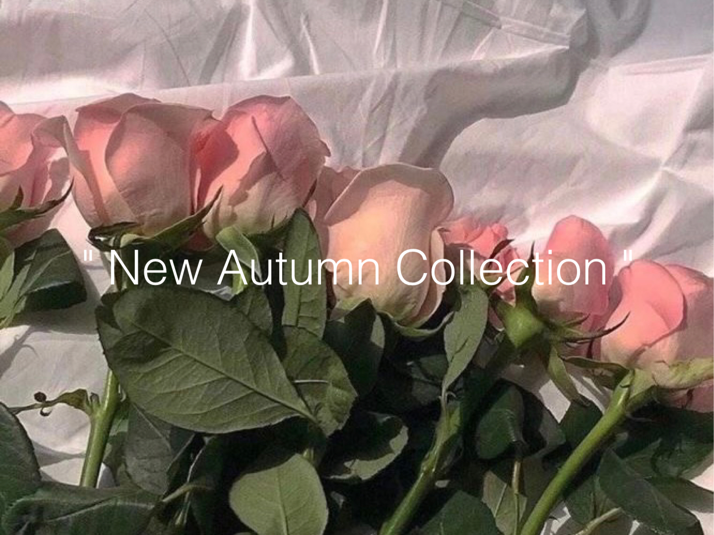 今から着れる！Autumn collectionお取り扱いスタート❤︎