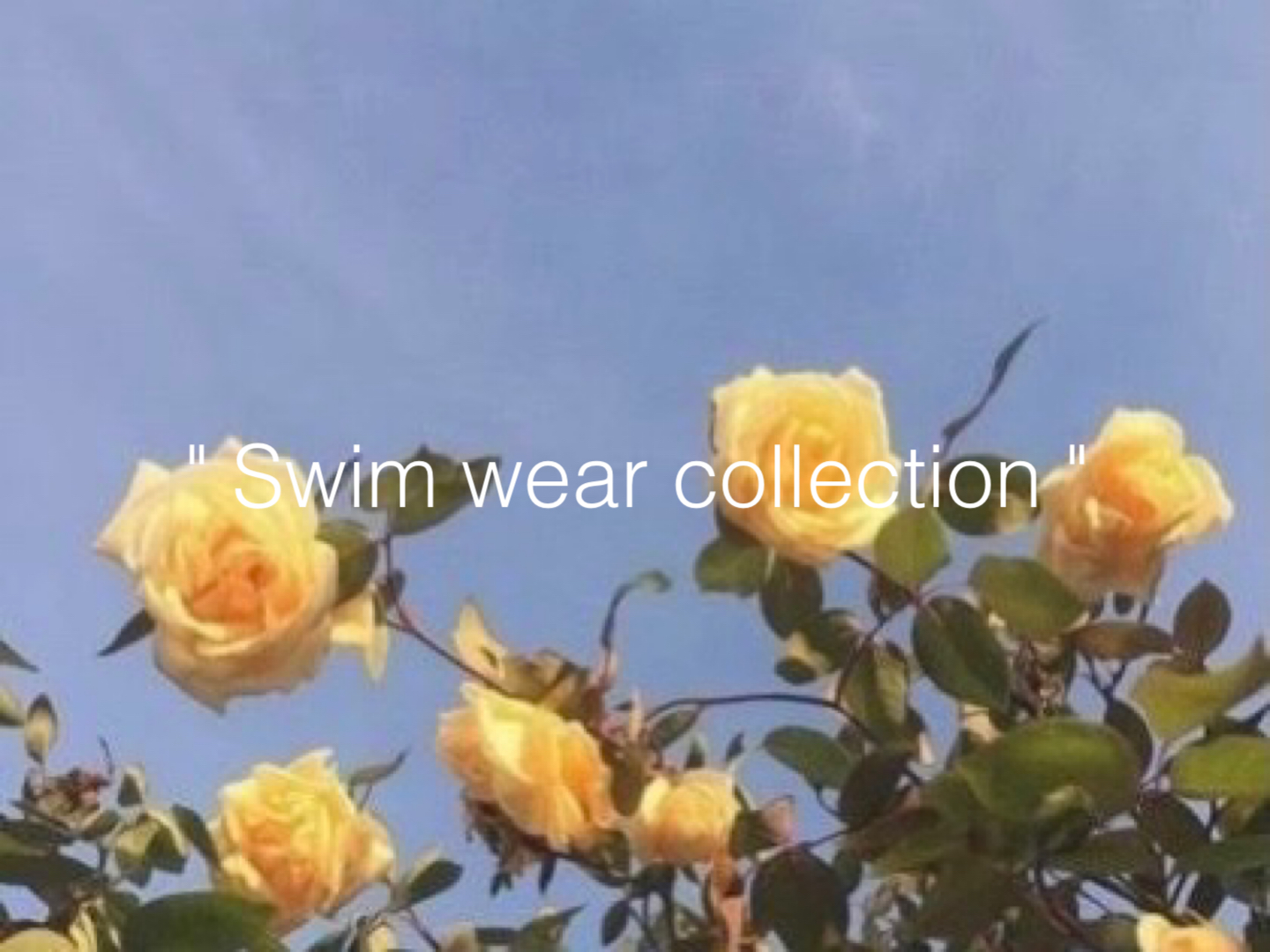 【新作入荷】Swim wear collection♡