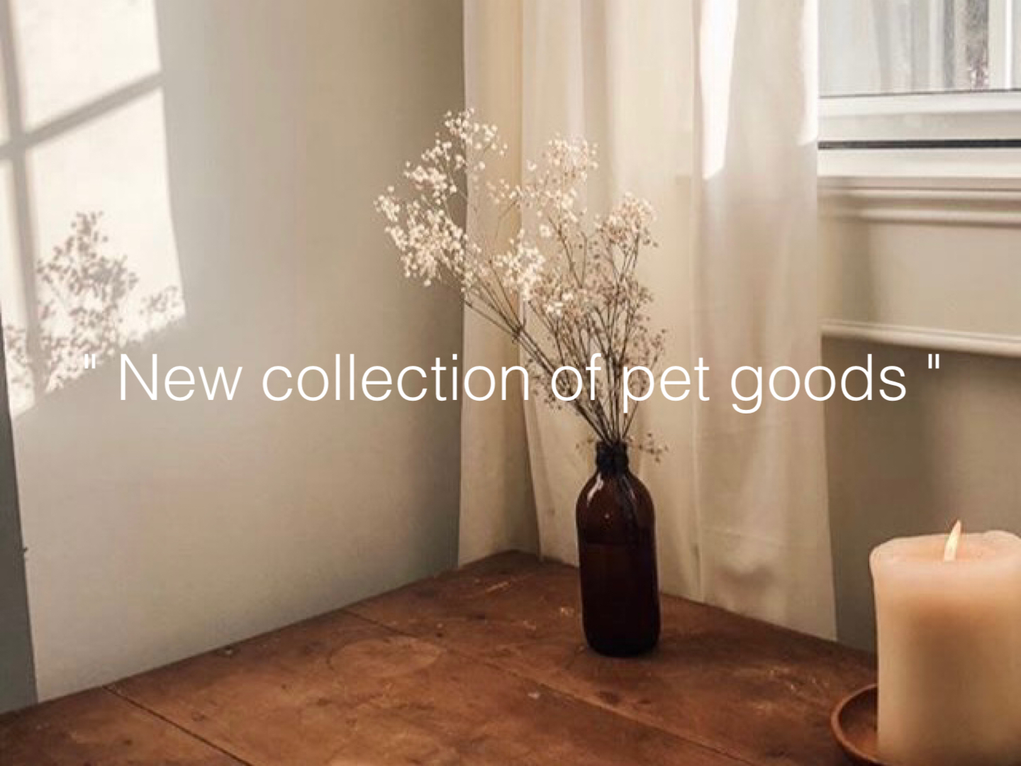 【NEW COLLECTION♡】　ペットグッズのお取り扱いスタート♡