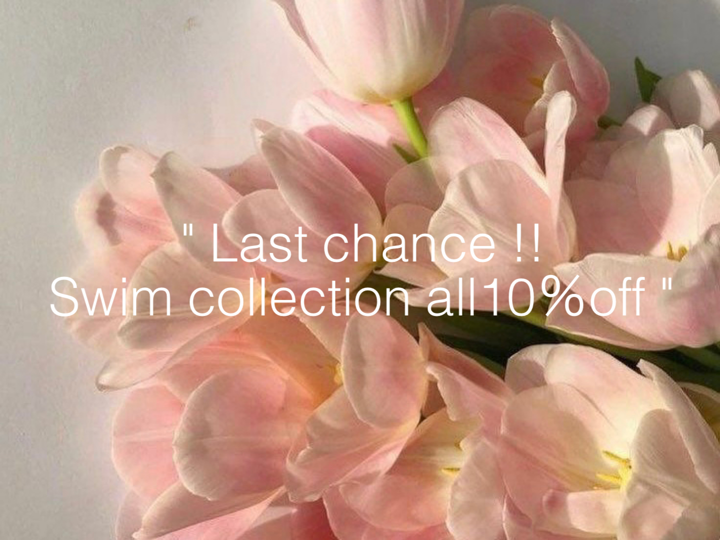 ラストチャンス！SWIM COLLECTION ALL10%OFF❤︎