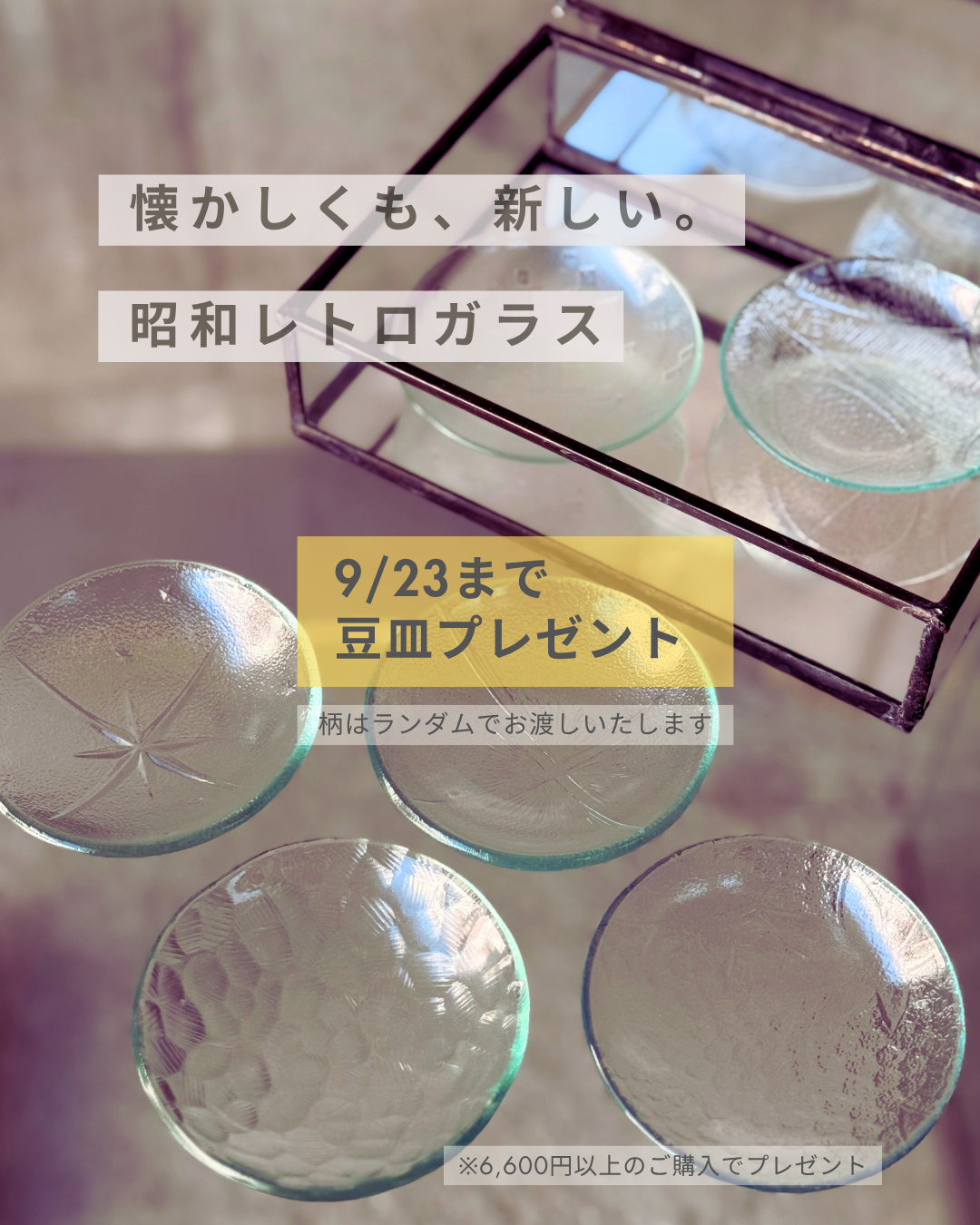 豆皿プレゼントキャンペーン〜9/23まで!