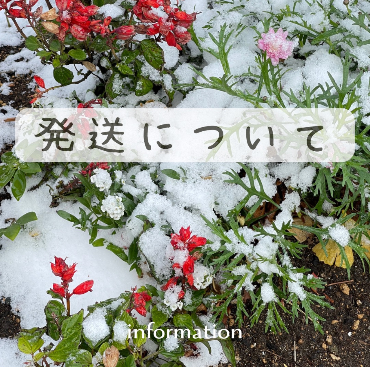 冬季間の発送について