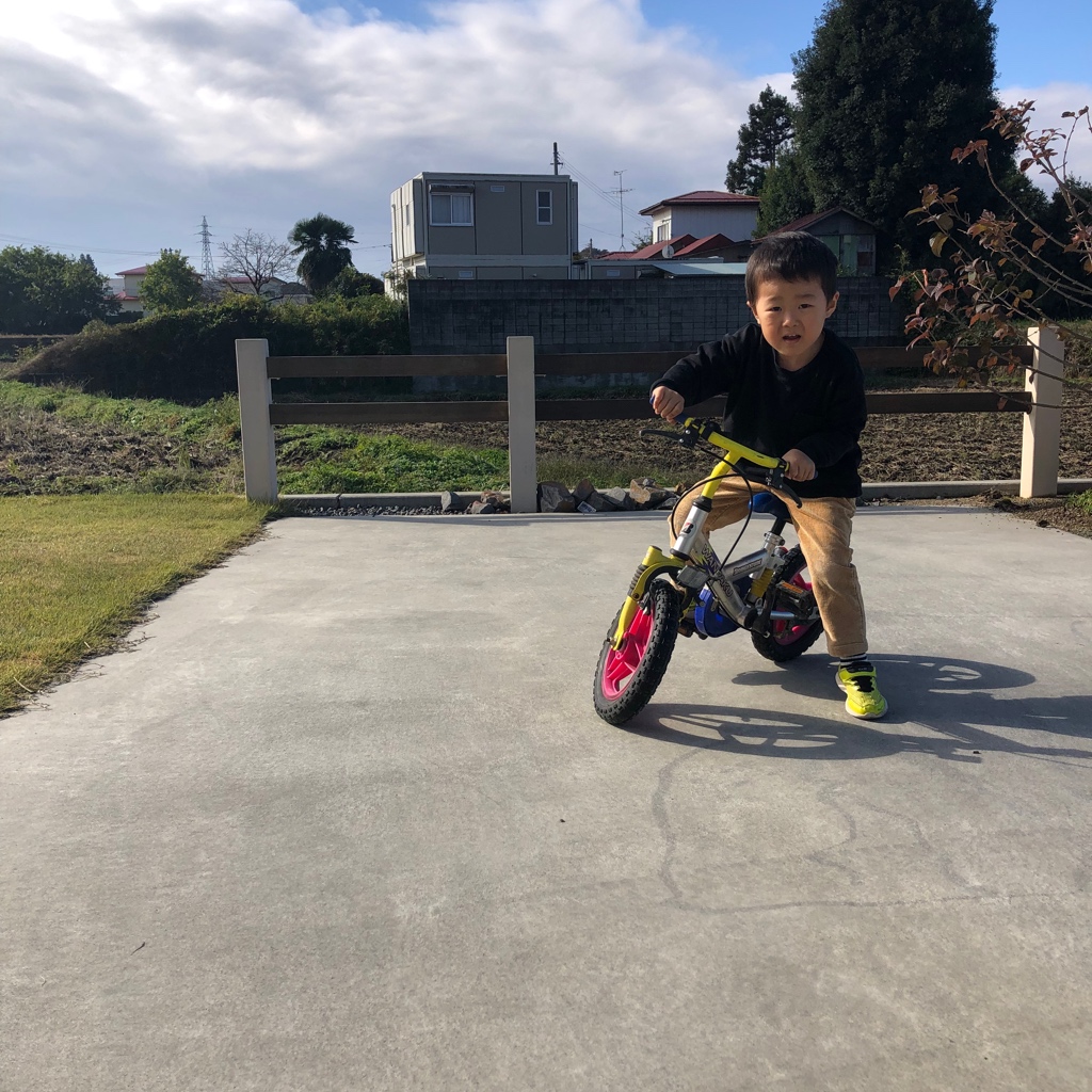 フリーダム