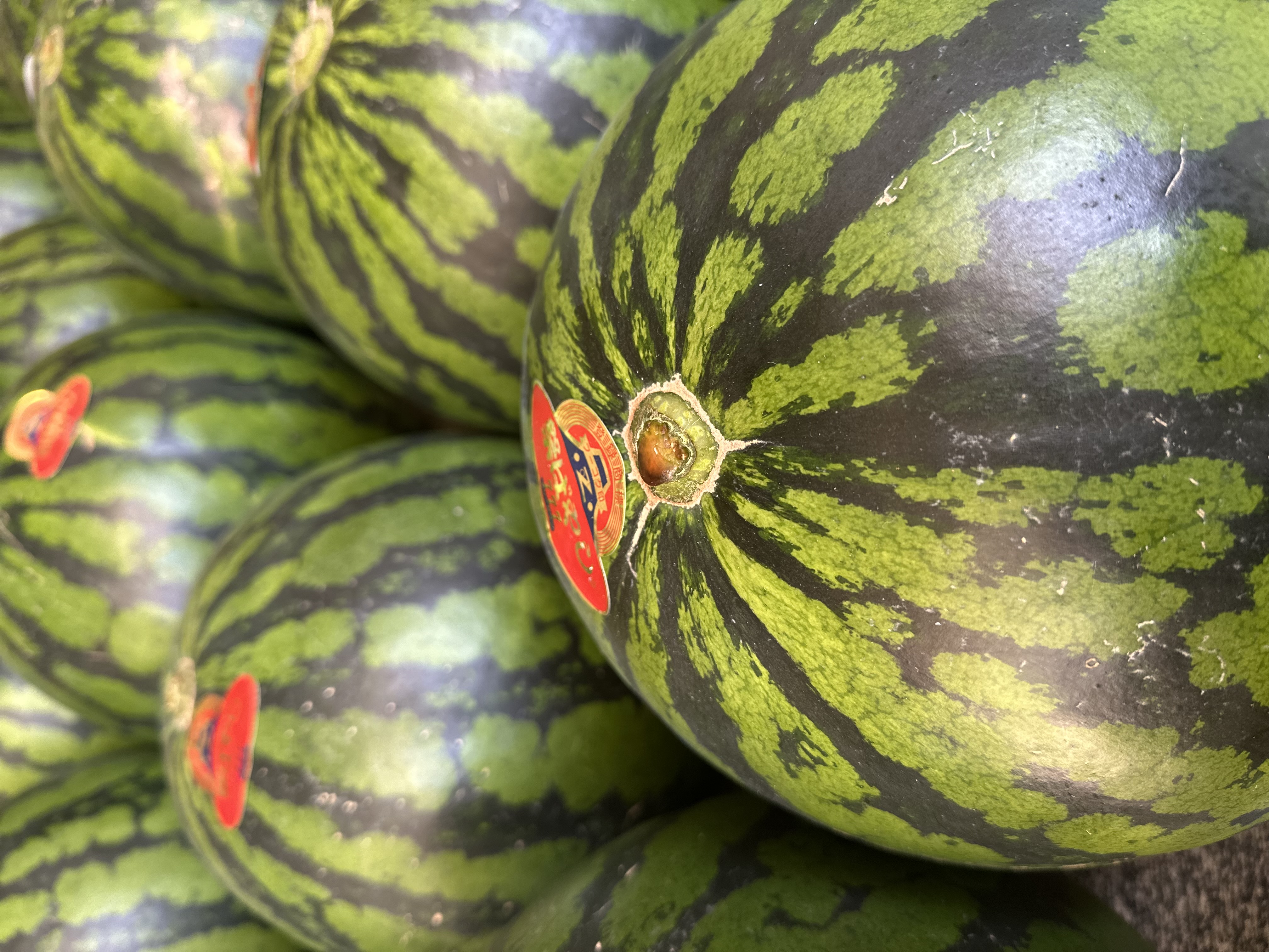 後半戦🍉
