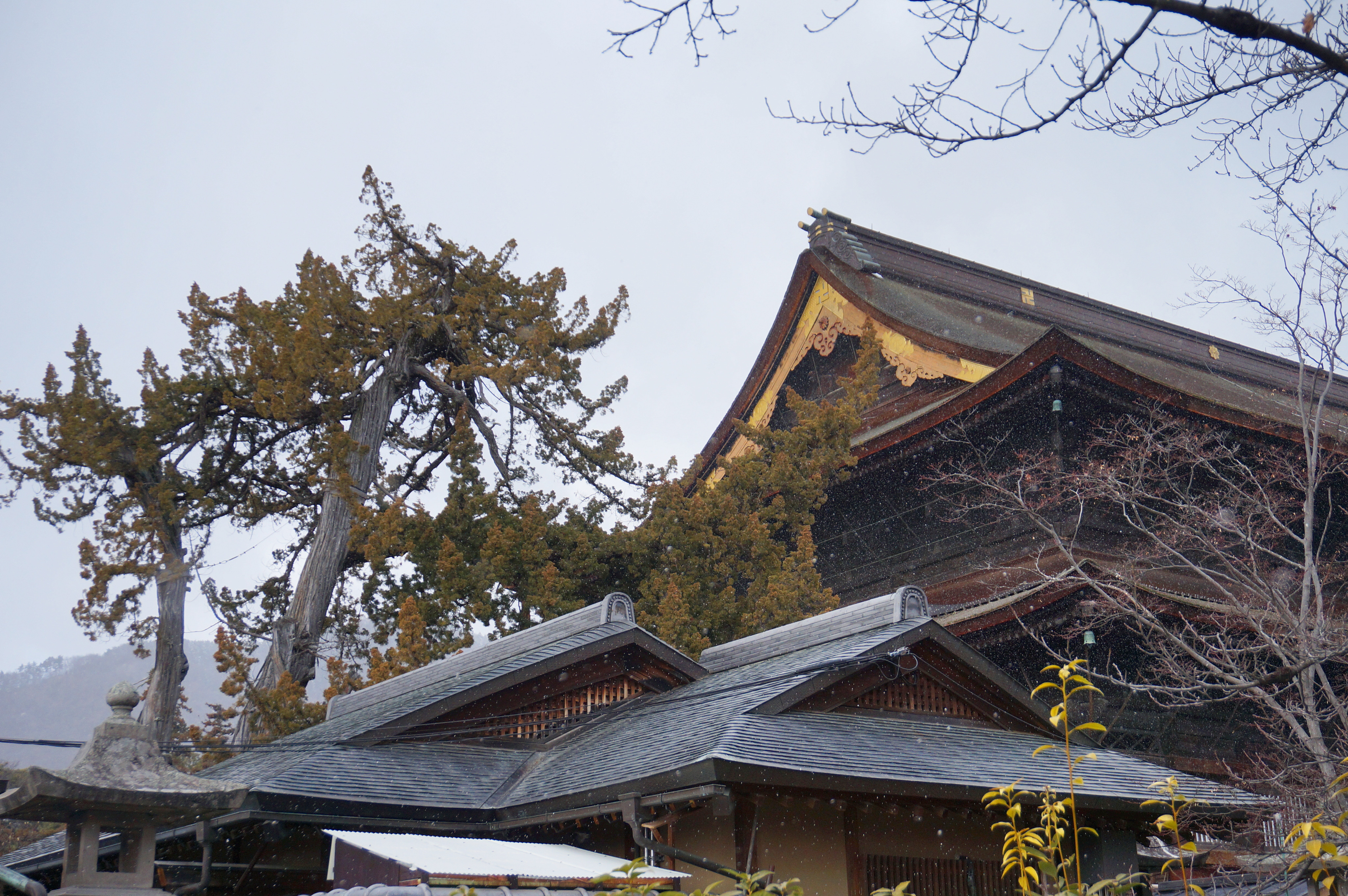 令和5年　明けましておめでとうございます