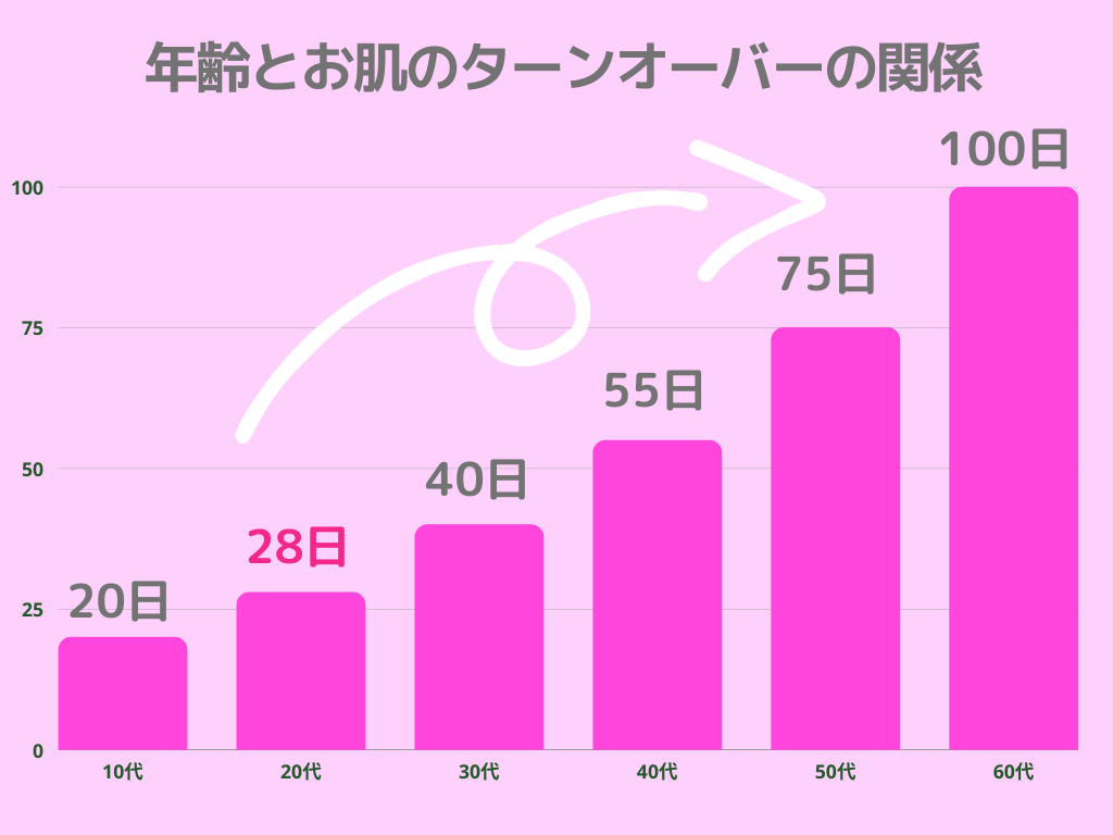 新しい肌になるまでどのくらい？