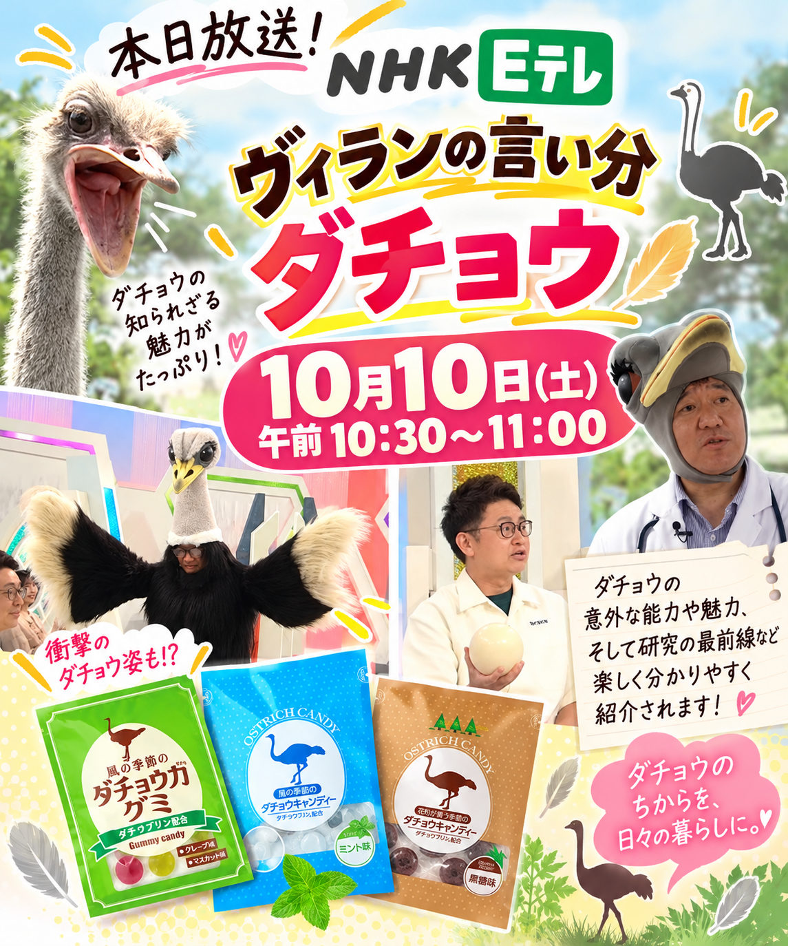 NHK Eテレにダチョウさんと塚本学長が登場!🦩✨