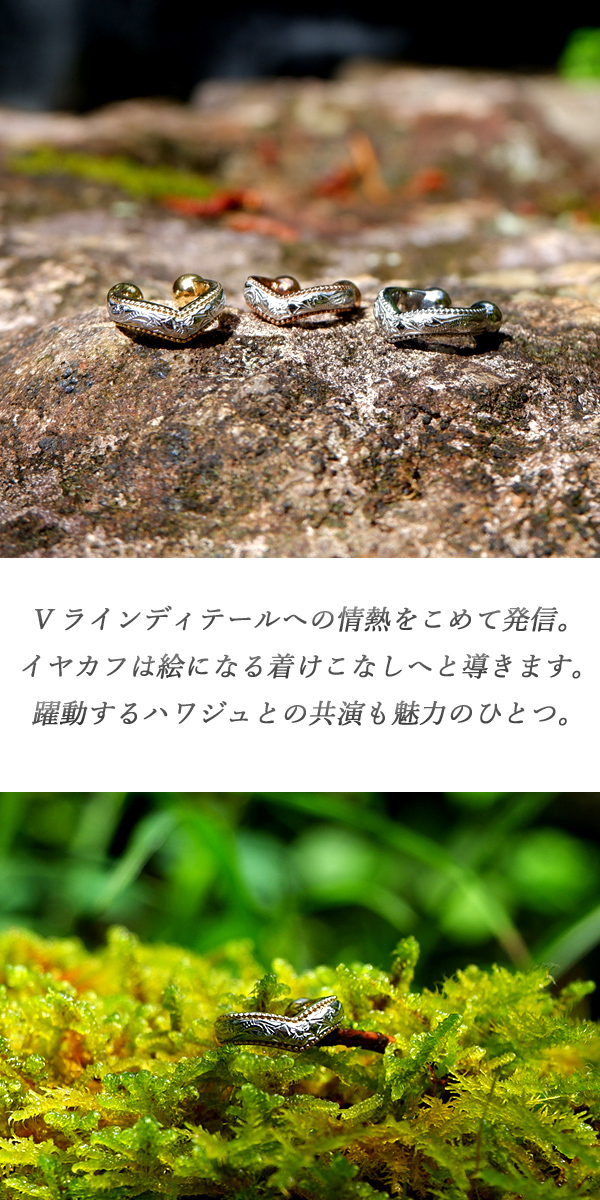 新商品のご紹介