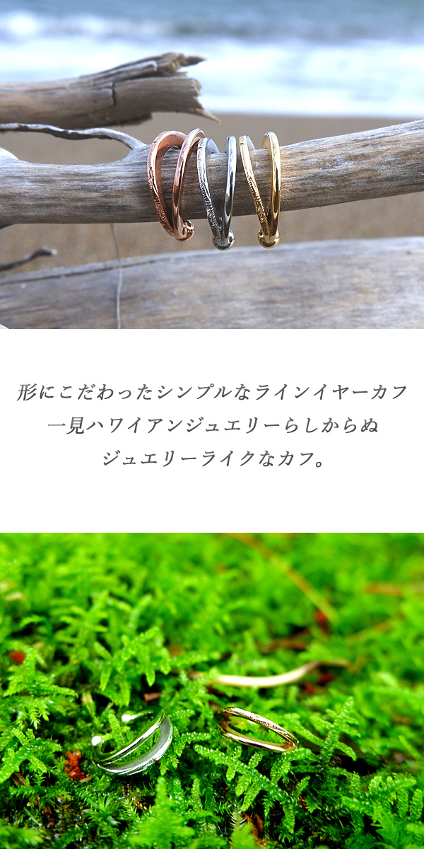 新商品のご紹介