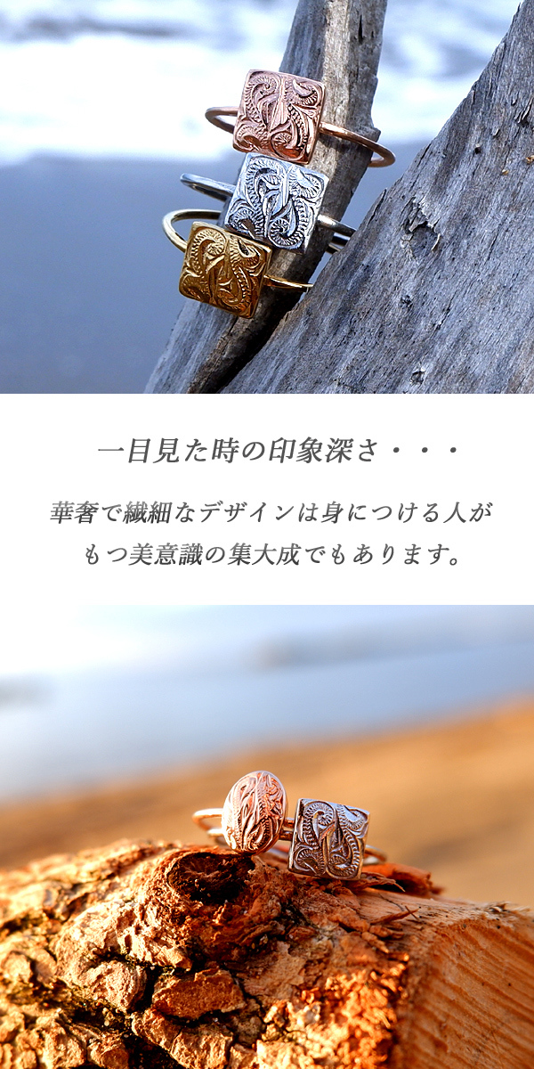 新商品のご紹介