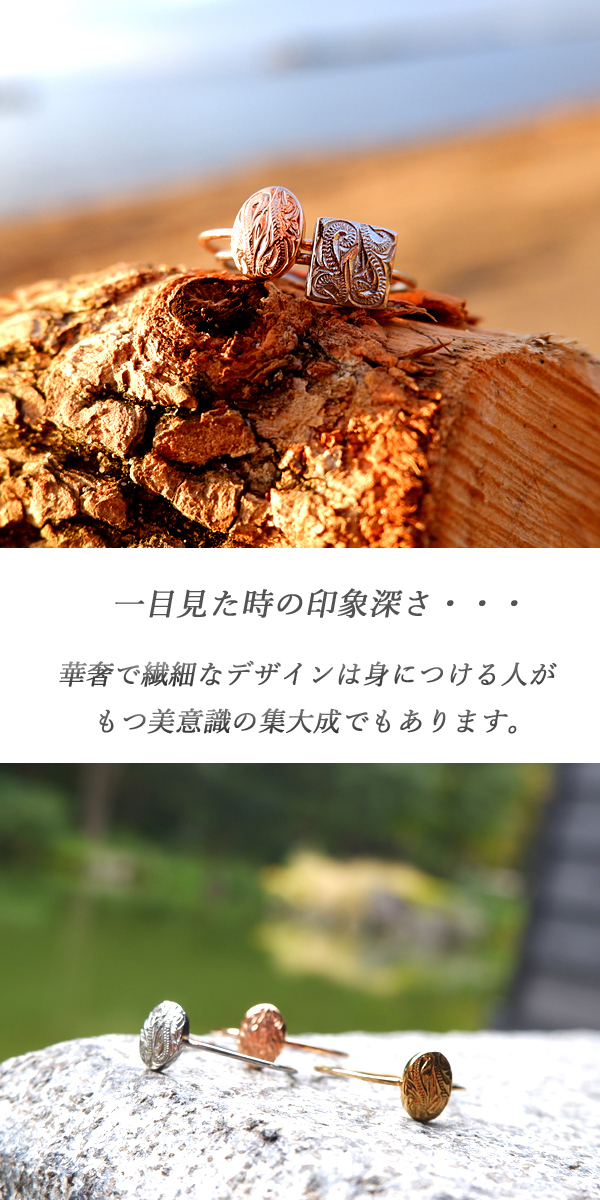新商品のご紹介