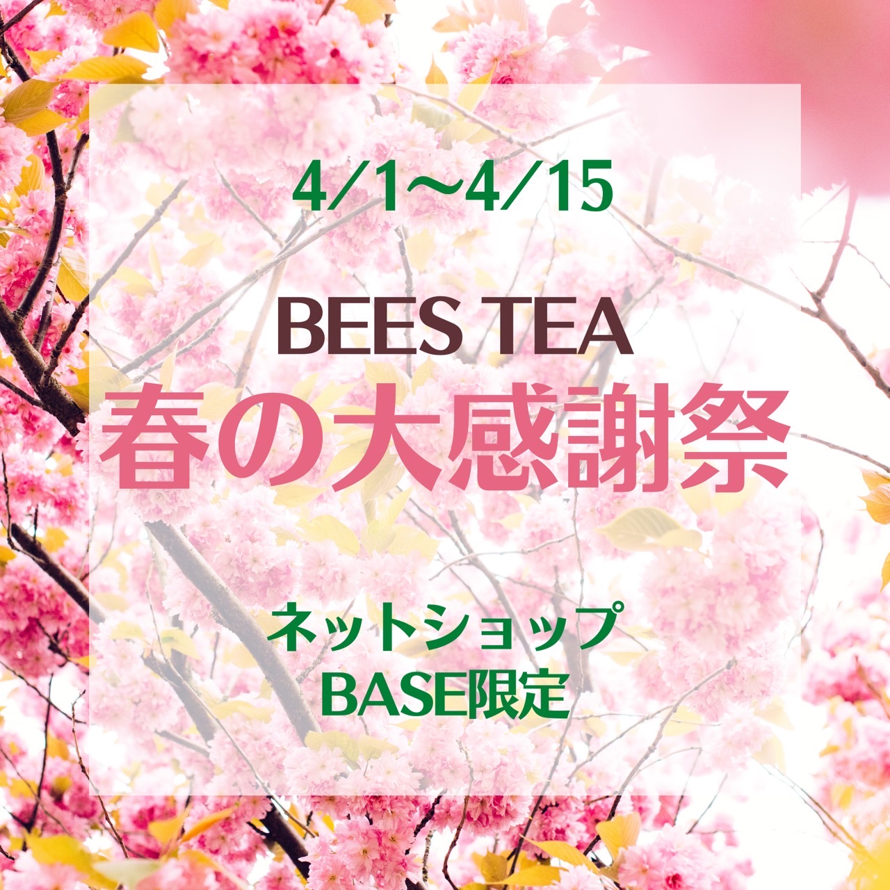明日からセールスタートしまーす♪