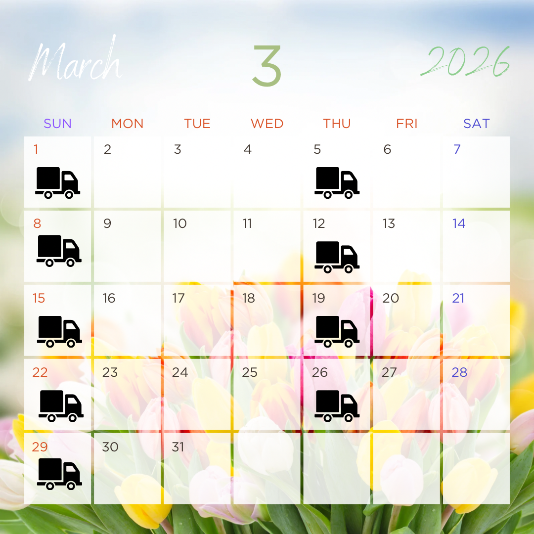 3月のスケジュール