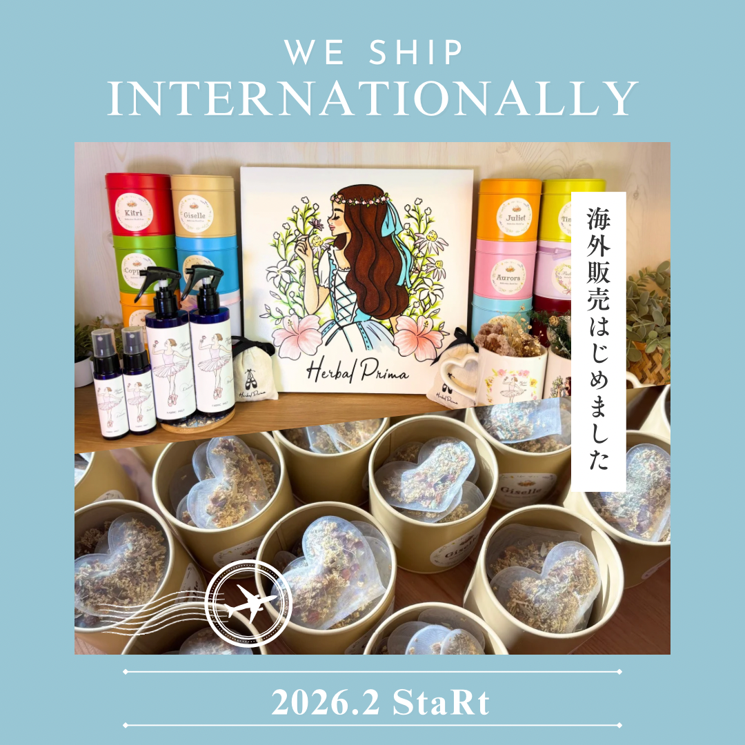 We ship internationally✈️