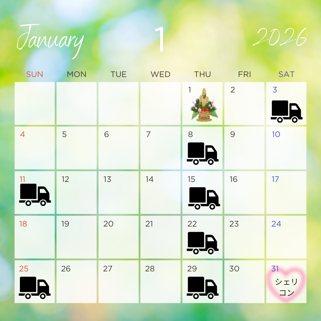1月のスケジュール
