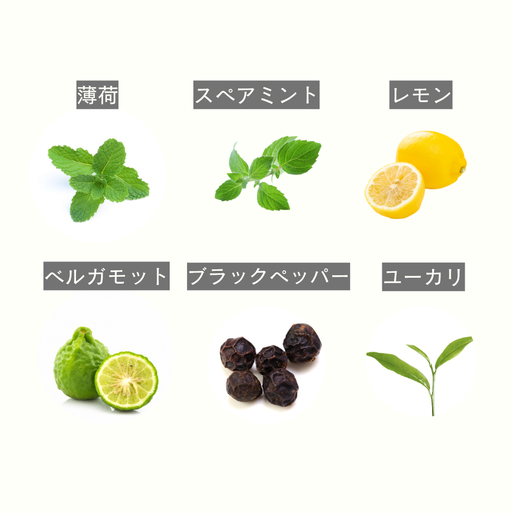 気持ちまでスッキリする、薄荷&ミント