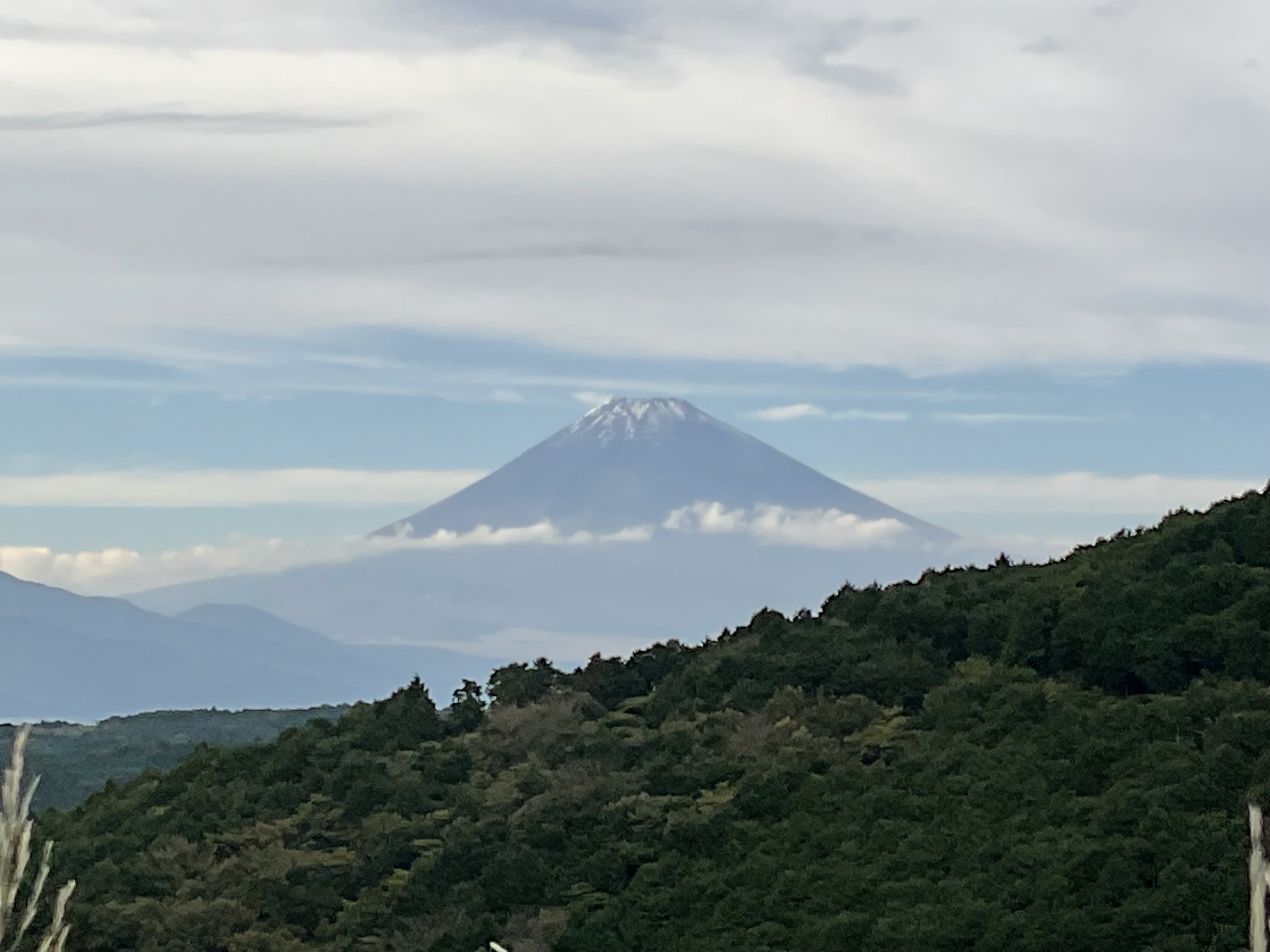 2025年11月24(月)㊗️ 第43回　メモリー21イベント開催のお知らせ
