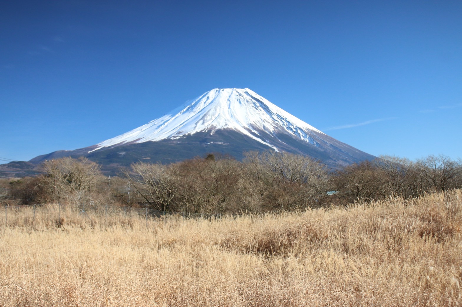 10月25日、さそり座の新月