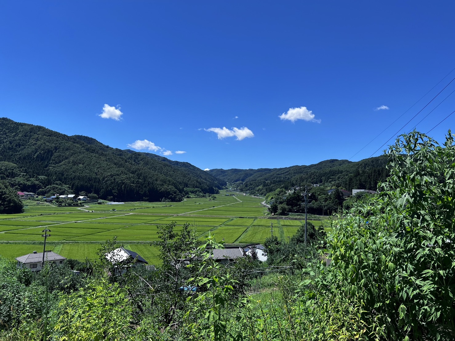 残暑お見舞い申し上げます
