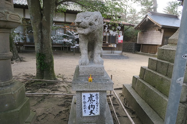 虎の狛犬と「寅」　賀露神社にて
