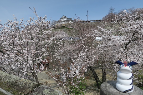 桜満開の季節がやってきました