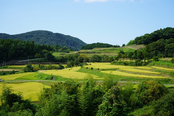 岩美秋の風景・秋の収穫