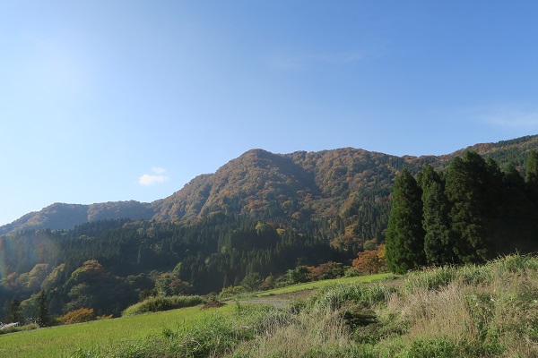 高原の紅葉と気になるお店