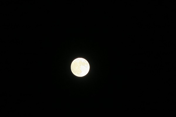 9月１７日　中秋の名月