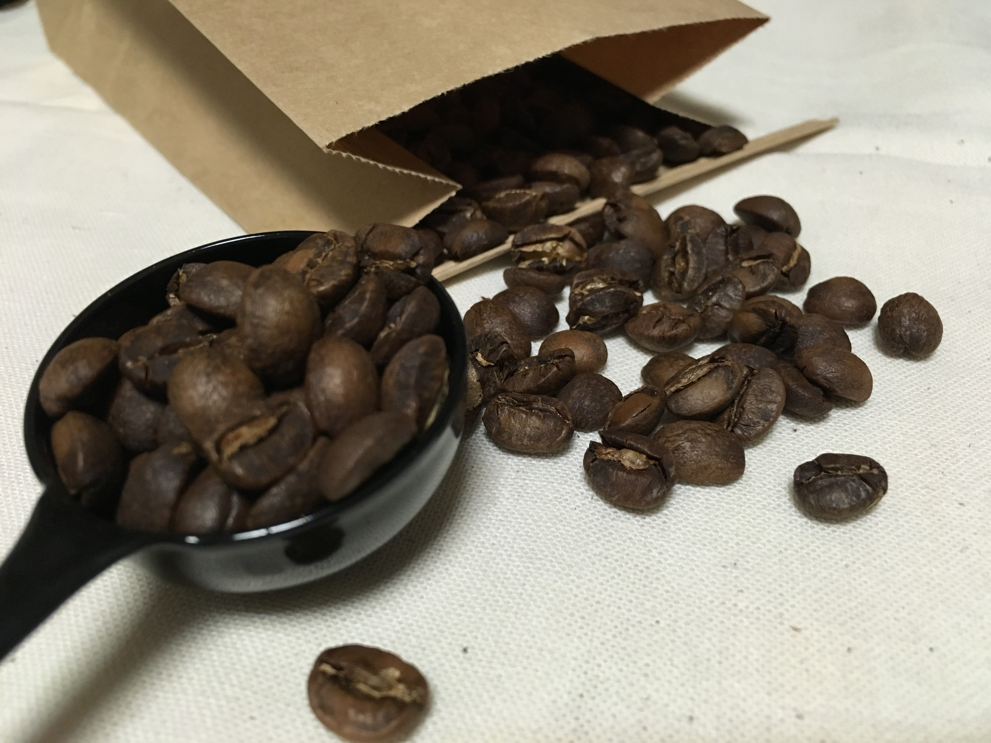 caffè micioオンラインショップ開設記念 ウェルカムキャンペーン！