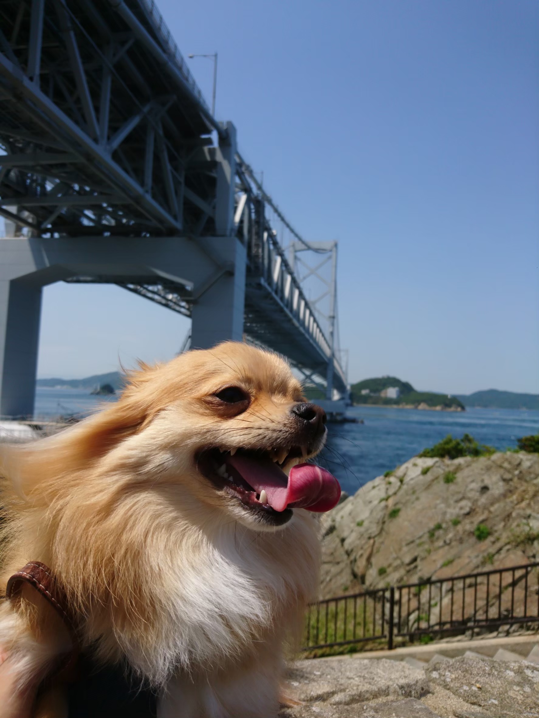 初めまして！