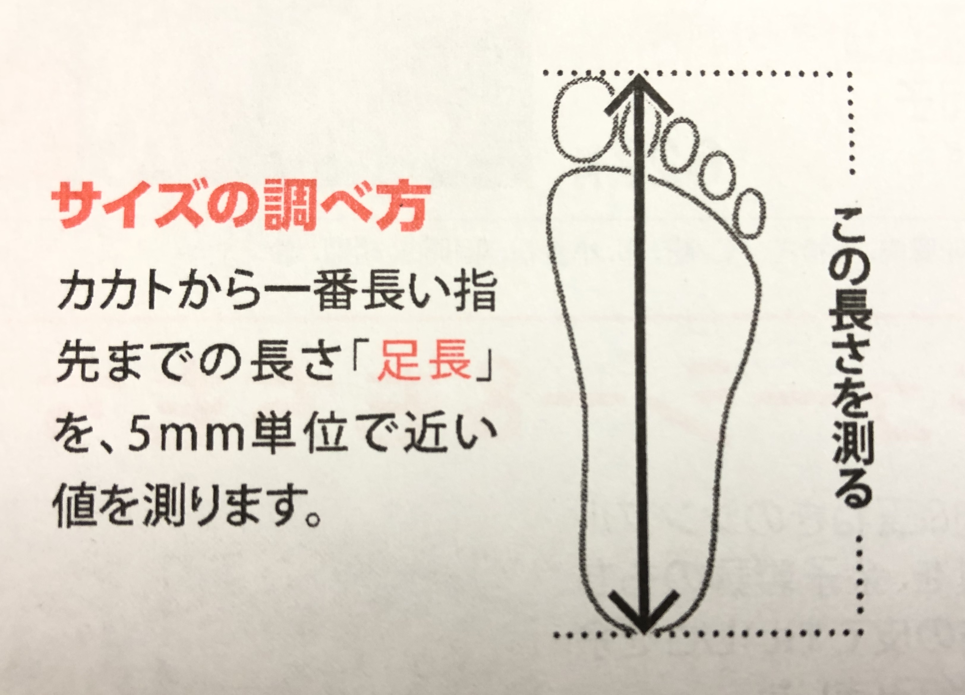 サイズの選び方について