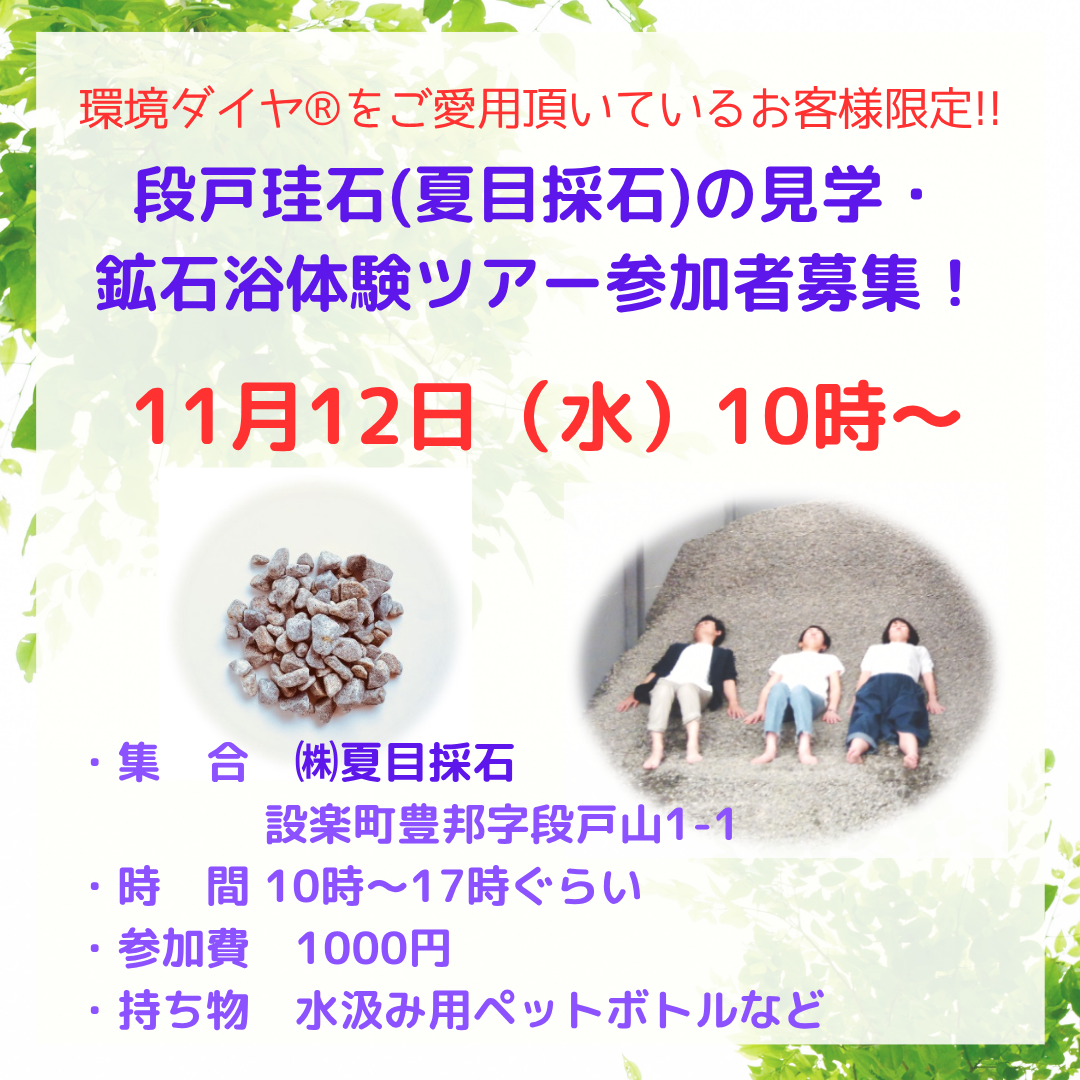 11～12月 出店・エネルギーツアー