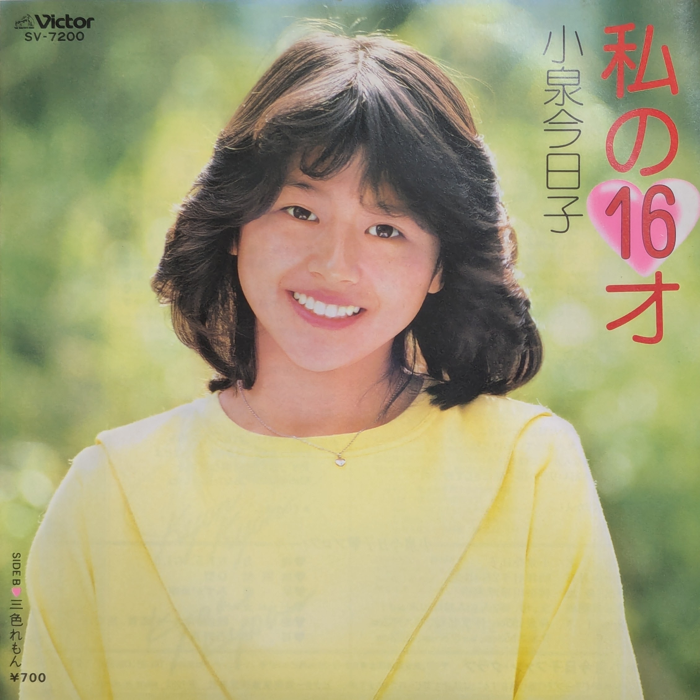 新入荷からのおすすめベスト5