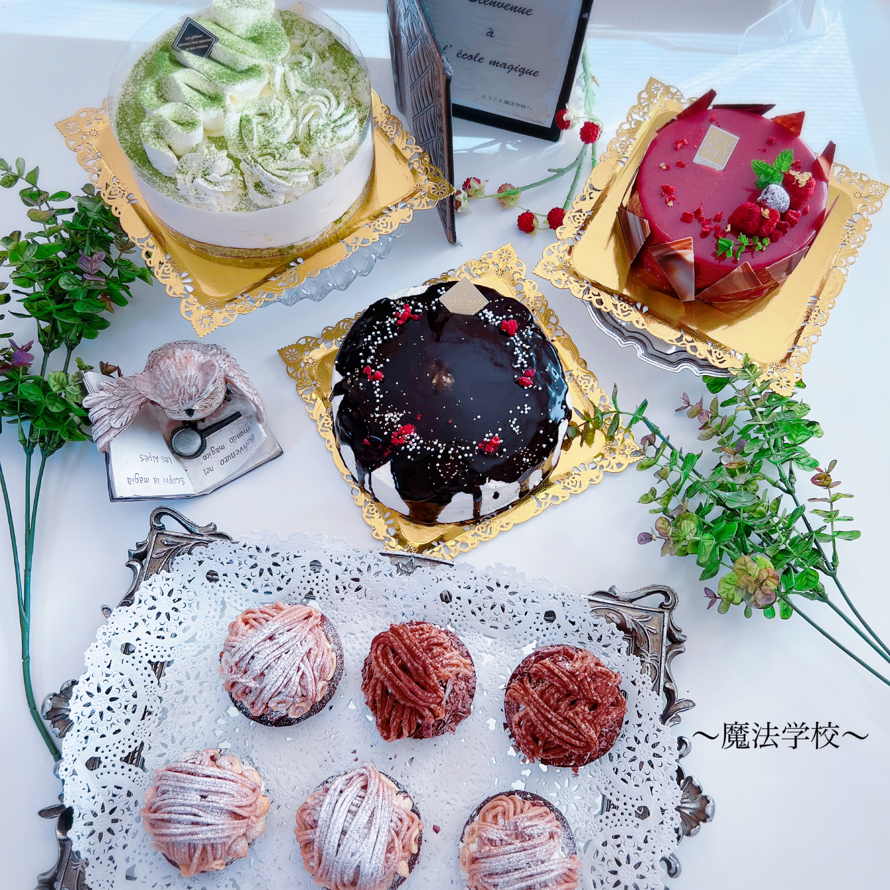 魔法学校～フレーズ組～新作ずらり- ̗̀ 🎂  ̖́-