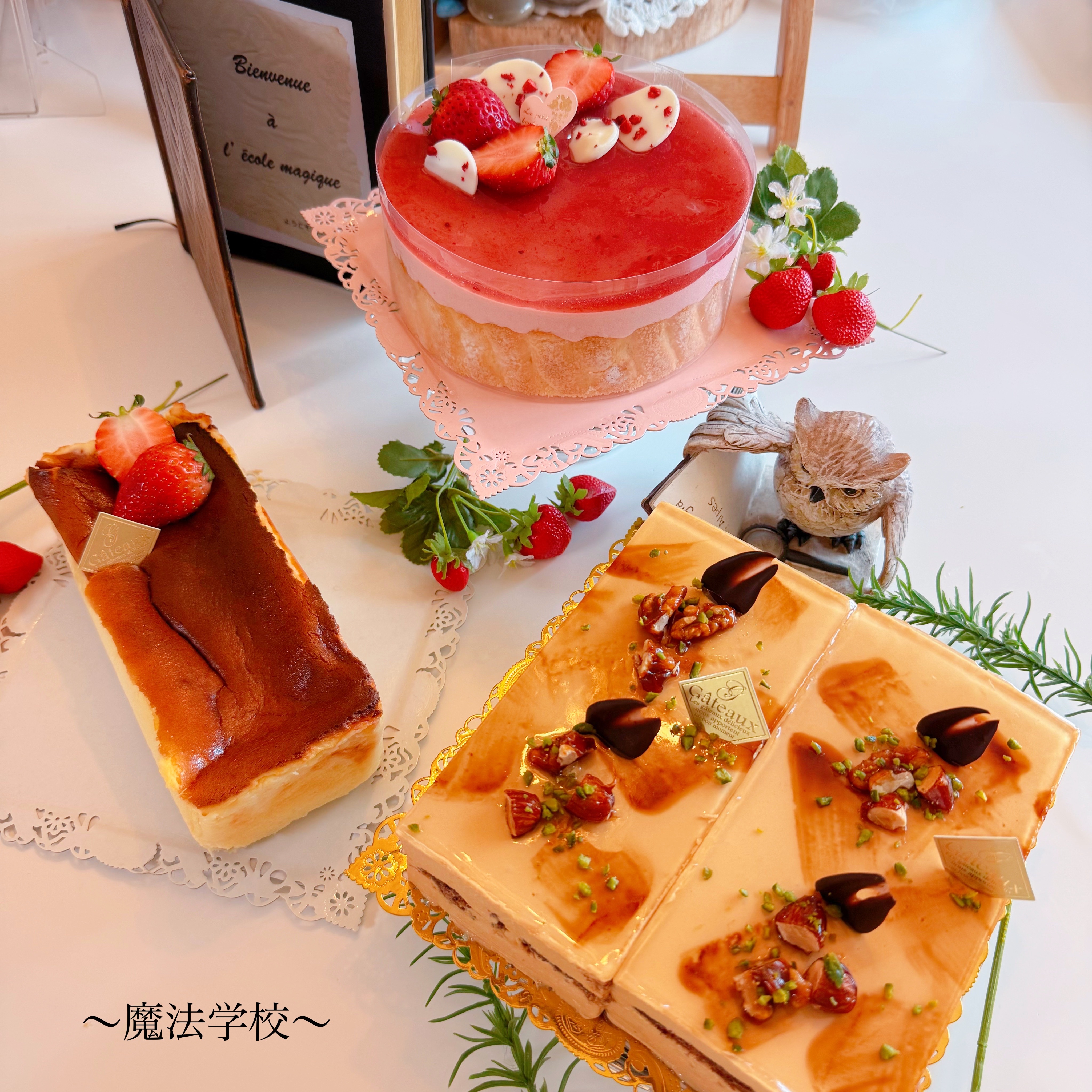 好奇心溢れる行動が自然な成長に✨