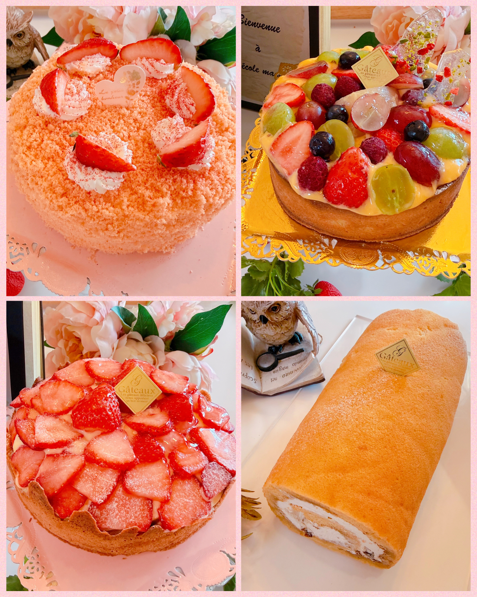 新たな魔法使いちゃんたちのご入学- ̗̀ 🎂  ̖́-